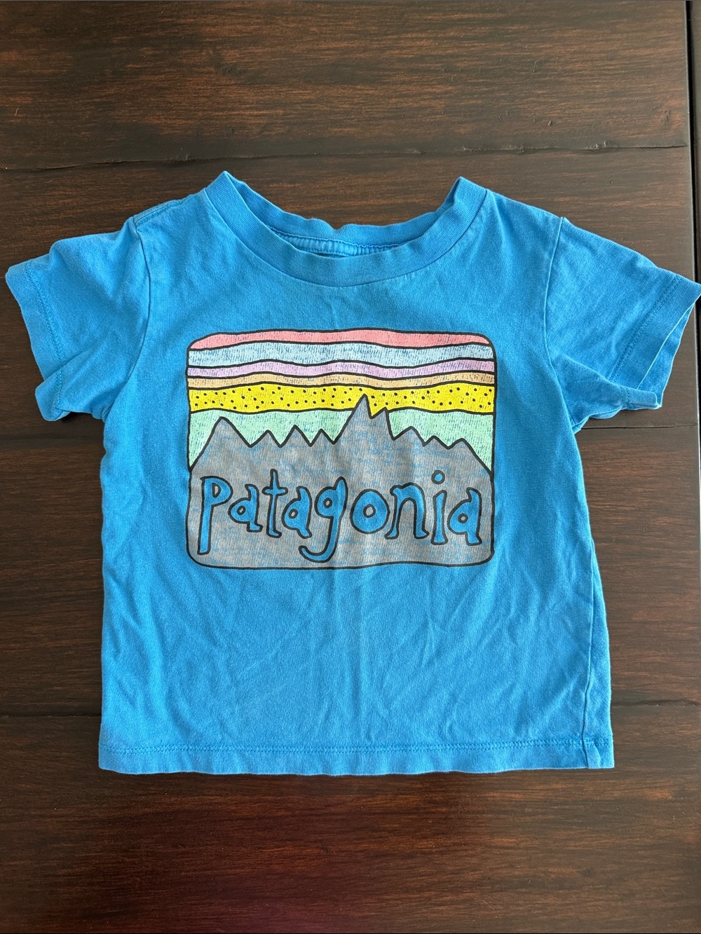 Patagonia Bright Blue Kids Logo Tee with Rainbow Accent